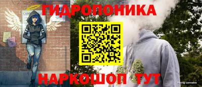 сатива Кулебаки