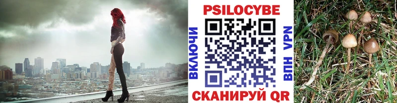 где купить наркоту mega зеркало Псилоцибиновые грибы Psilocybine cubensis Пушкино