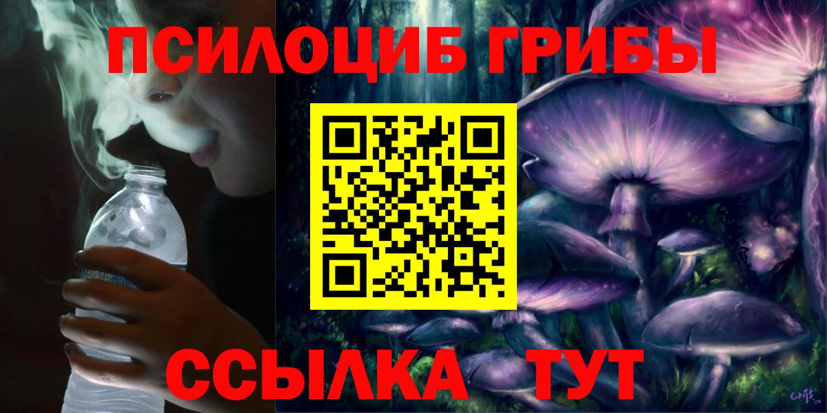 Галлюциногенные грибы Psilocybe Пушкино