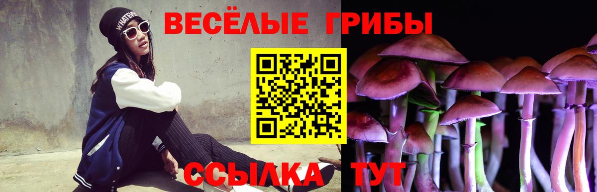 Галлюциногенные грибы Psilocybe  Вход с VPN  цены наркотик  Псилоцибиновые грибы Cubensis  Пушкино 