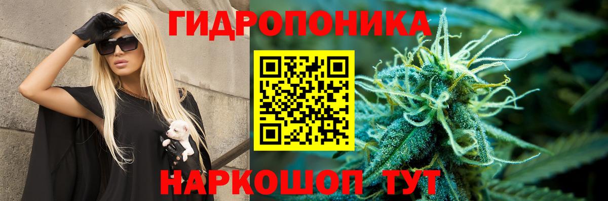 МАРИХУАНА ГИДРОПОН Пушкино